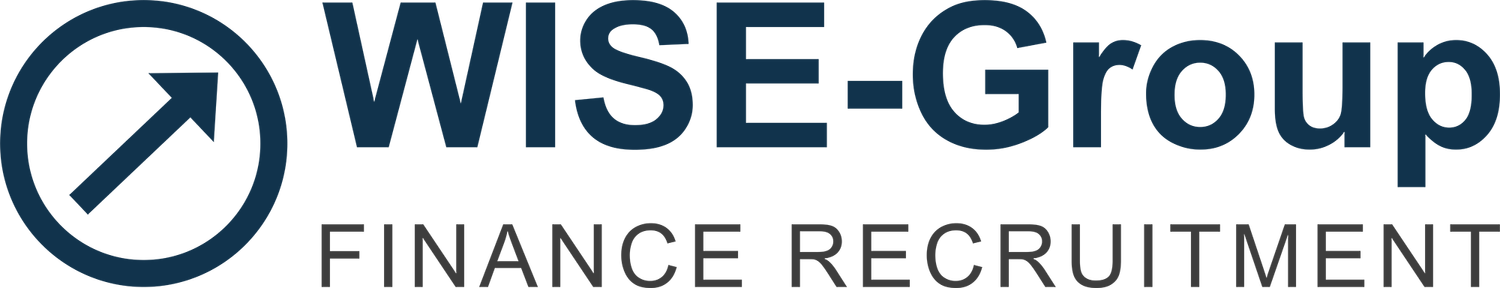 WISE-Group Finance Recruitment